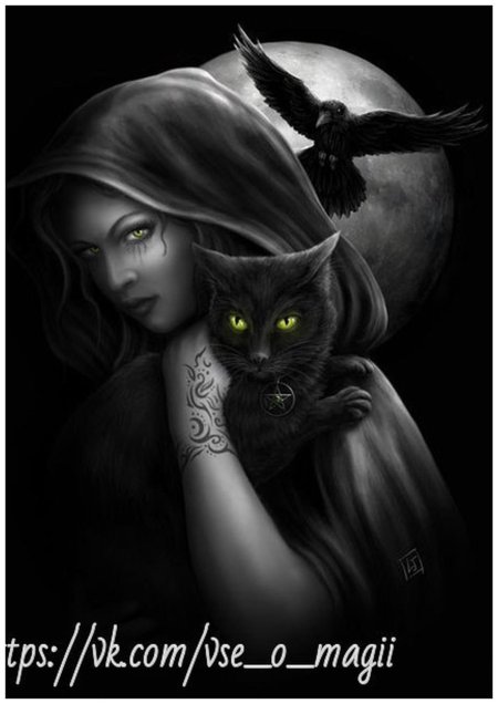 Ведьма с котом