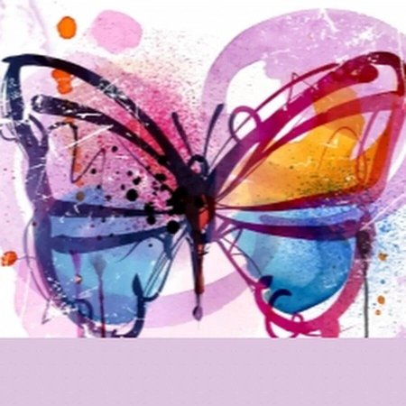 Бабочки клипарт