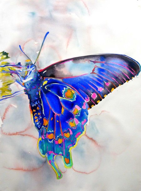 Бабочки живопись