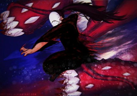 Нора аниме Токийский гуль