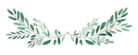 Веточка с листьями