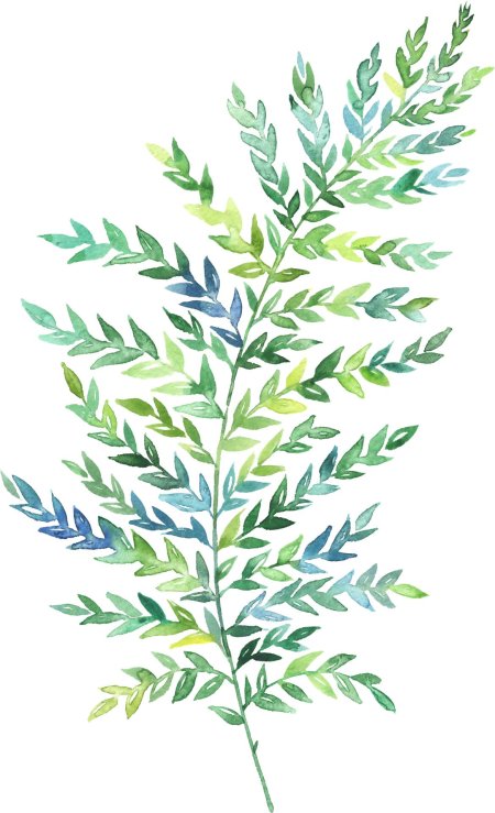 Акварельные листья