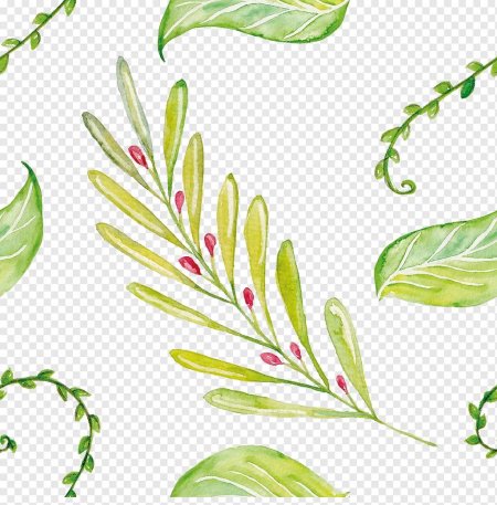 Акварельные листья