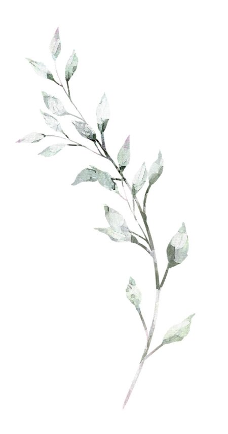 Рускус Эммер