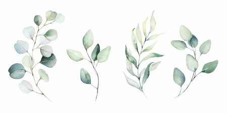 Ветка эвкалипта вектор