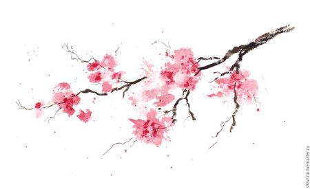 Китайская слива мэйхуа