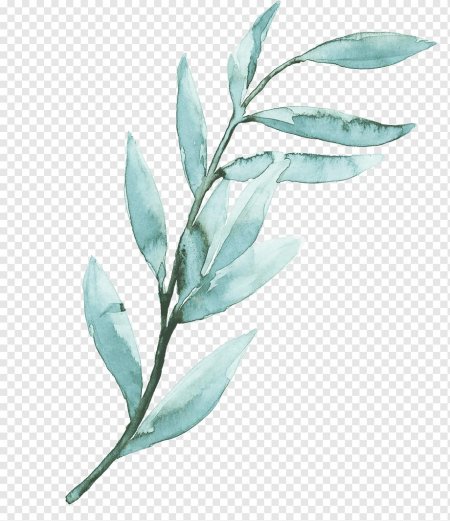 Листья акварель