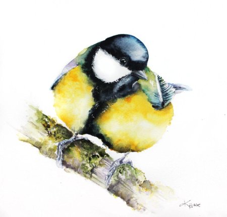 Синица акварелью