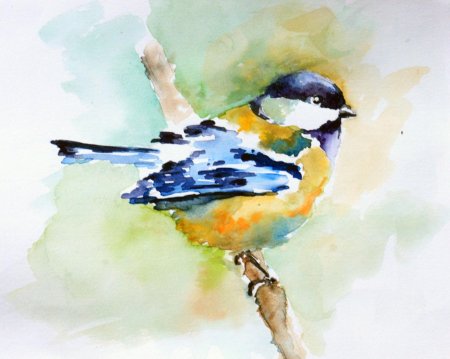 Рисование акварелью птицы
