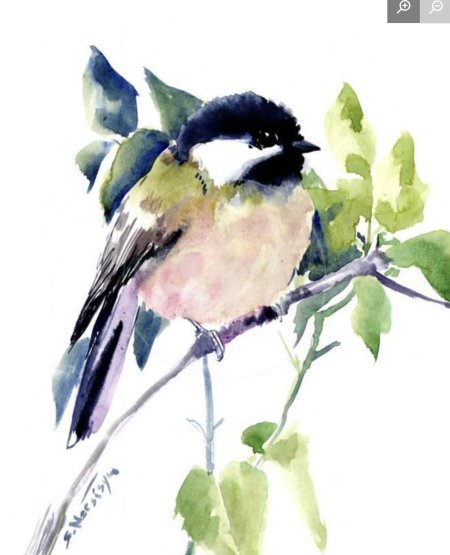 Синица акварелью