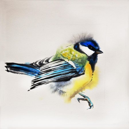 Синичка лазоревка