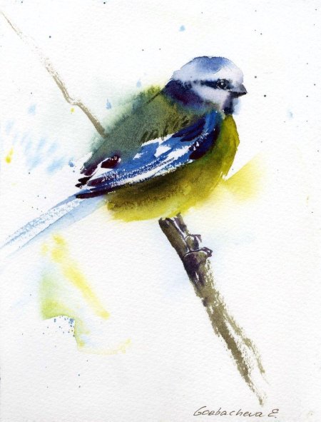 Синичка акварелью