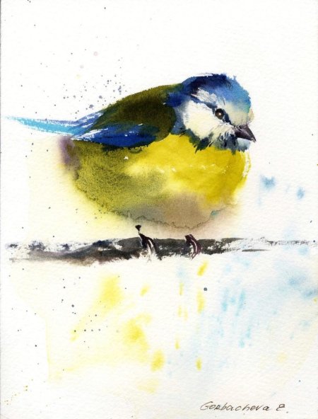 Синица красками