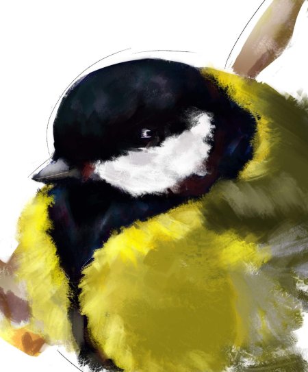 Синица рисунок