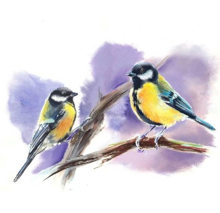 Синица лазоревка