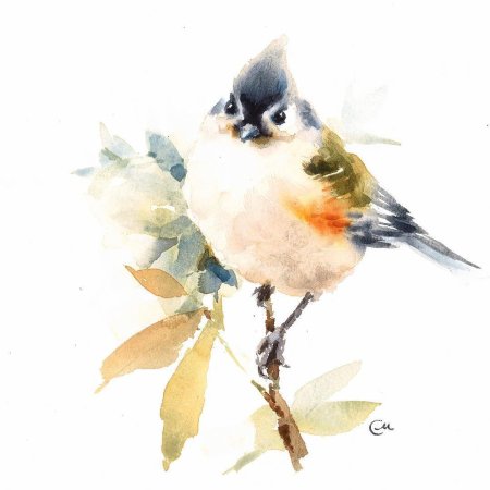 Акварельные птички на белом фоне