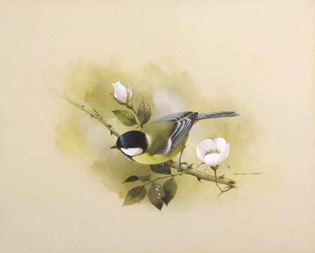 Raymond Cyril Watson