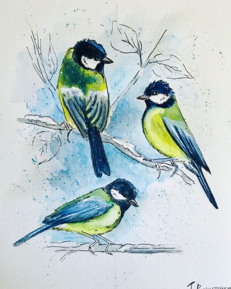 Синичка рисунок