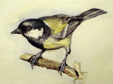 Птица рисунок