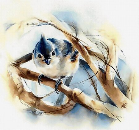 Акварели птицы художницы Альбины статных