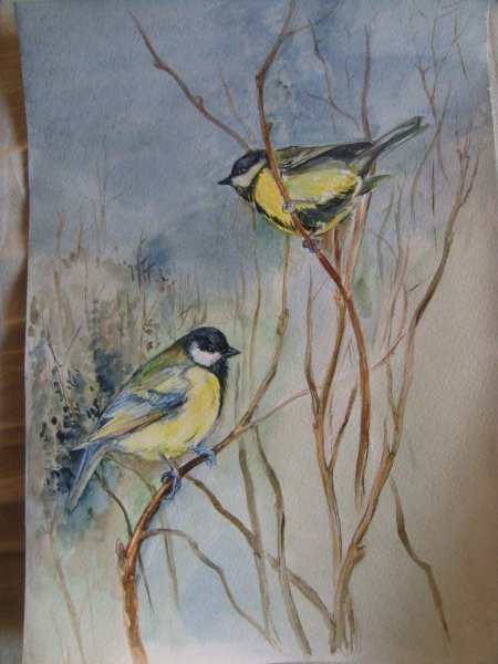 Художник Даррел Буш синицы