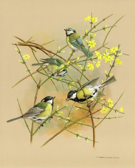 Художник Базиль Эде ласточки