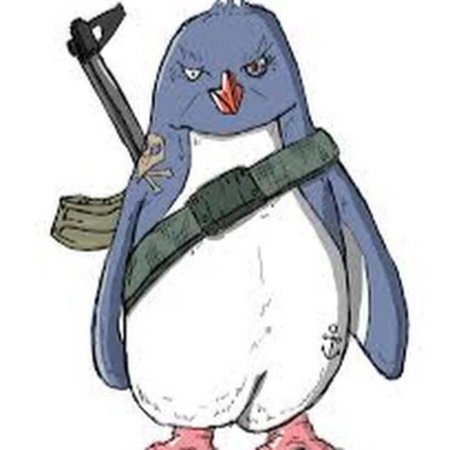 Старбаунд Пингвин