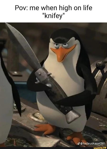 Пингвины мадагаскара рико