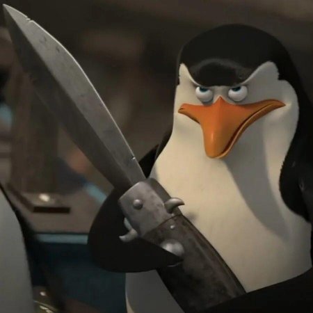 Рико пингвины мадагаскара