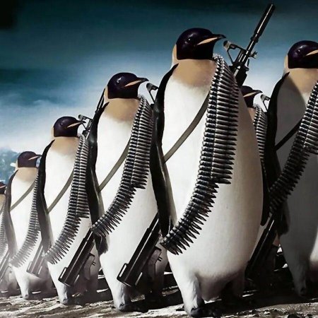 Вооруженный пингвин