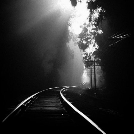 Hengki Koentjoro фотограф