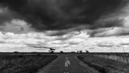 Поле черно белое