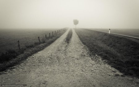 Дорога никуда