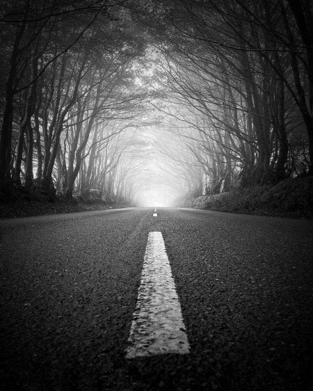 Дорога никуда