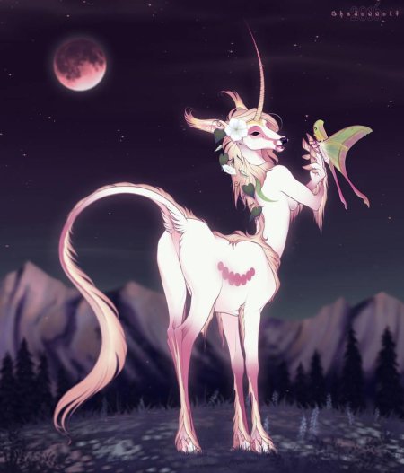 Фурри Кентавр