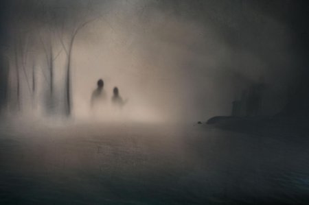 Призрак в тумане