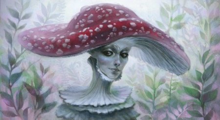 Аманита Мускария психоделика