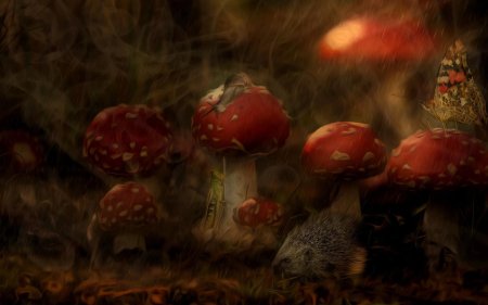Мухоморы Эстетика Goblincore