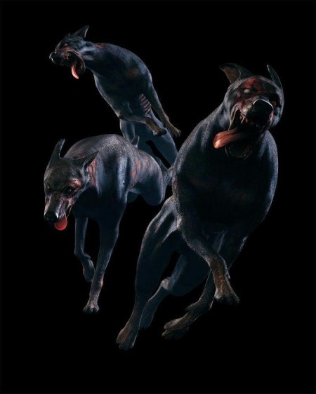 Резидент эвил Доберманы