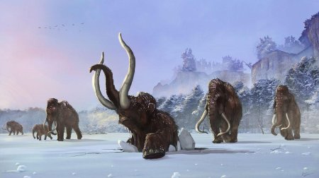 Шерстистый носорог ледникового периода