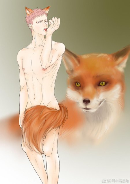 Лисица хуманизация