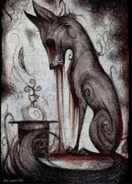 Кульпео Фокс череп