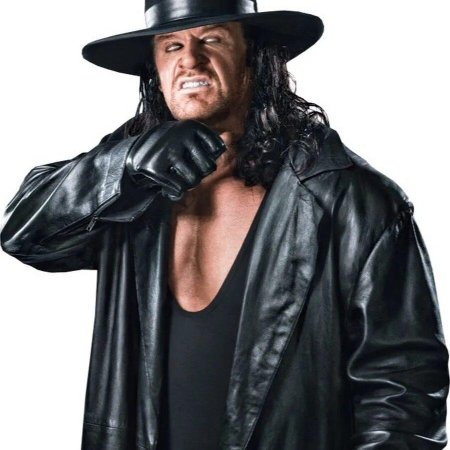 Гробовщик WWE