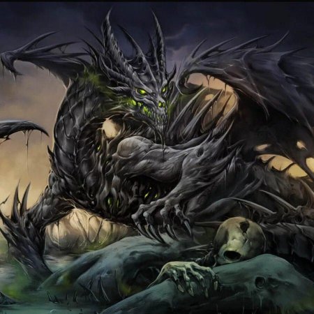 Драколич Драгота