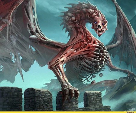 Драколич Драгота