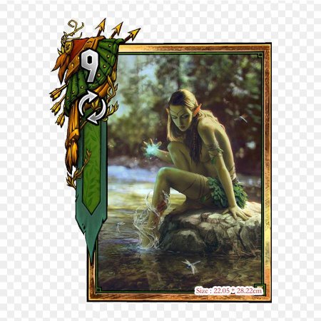 Скоя'таэли Ведьмак 1