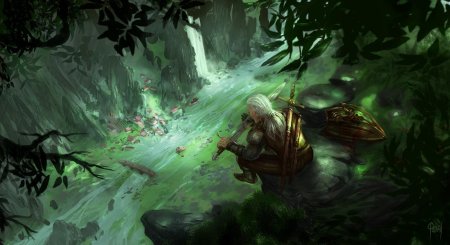 Нивеллен Ведьмак