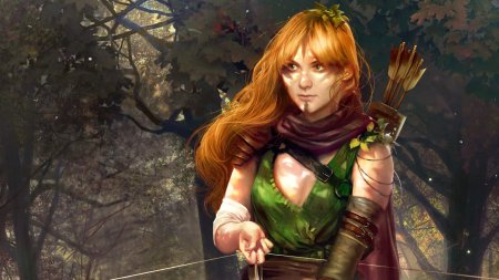 Браэнн Ведьмак