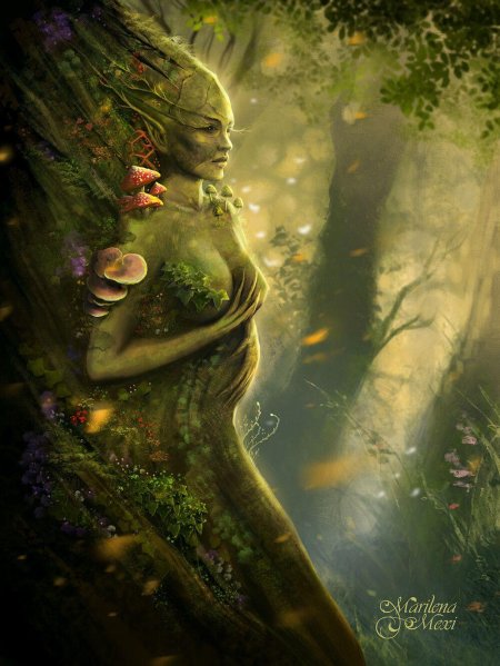 Дриада Лесная нимфа
