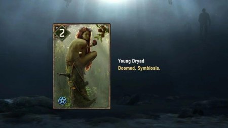 Ведьмак гвинт